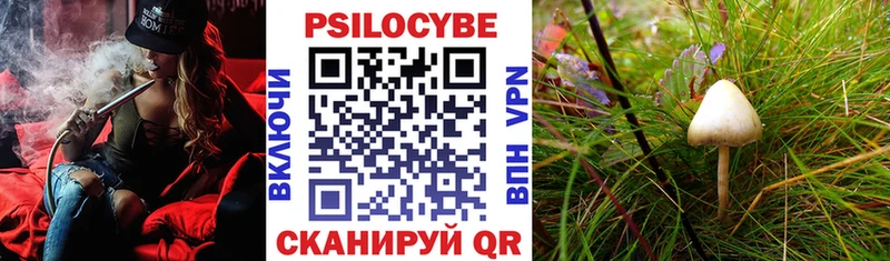 Галлюциногенные грибы GOLDEN TEACHER Калуга